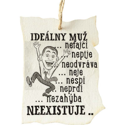 Ideálny muž