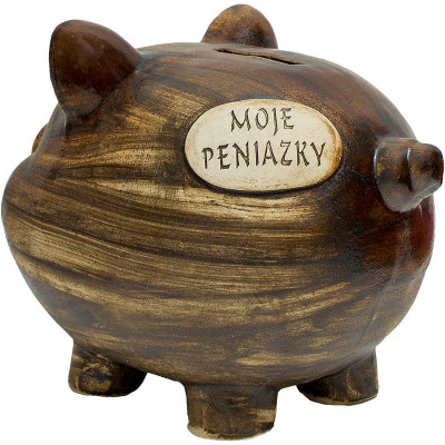 Veľká pokladnička prasiatko - Moje peniazky