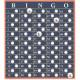 Spoločenská hra Bingo na doma